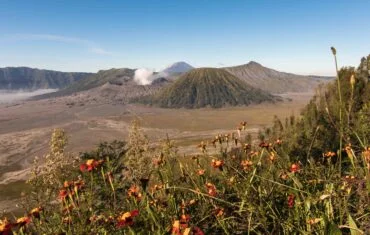 Mount Bromo tour Package Sunrise and Midnight tour