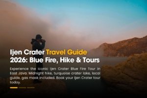 Ijen Crater blue fire tour with professional guide in East Java