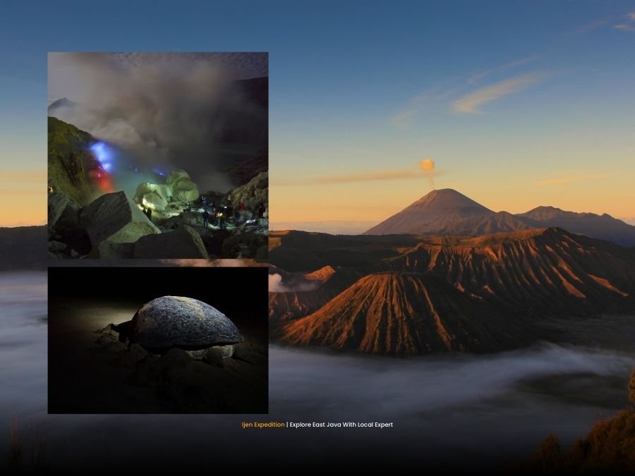 Bromo Ijen and Sukamade turtle conservation journey