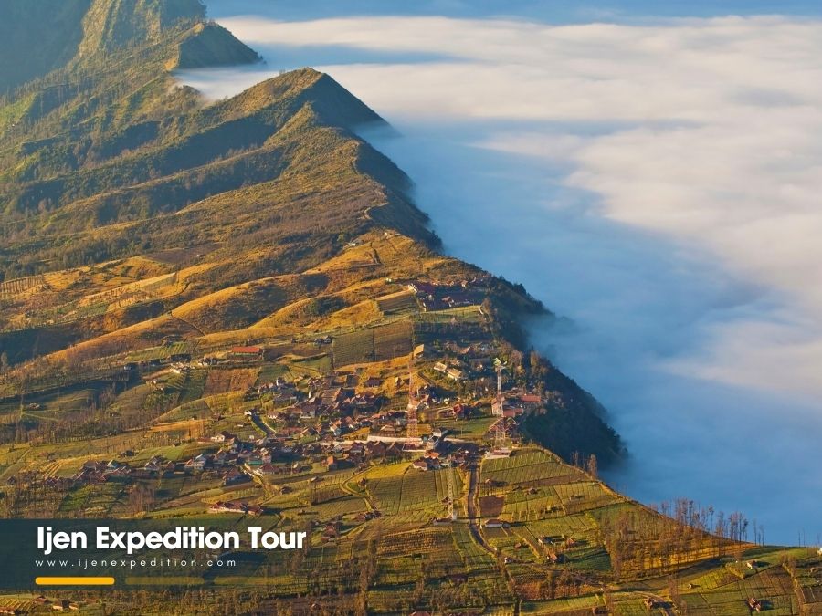 Cemara Lawang village on the rim of Mount Bromo National Park in East Java