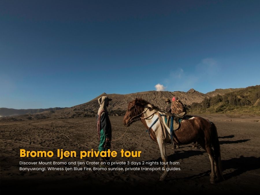 Experienced local guide for private Bromo Ijen tour